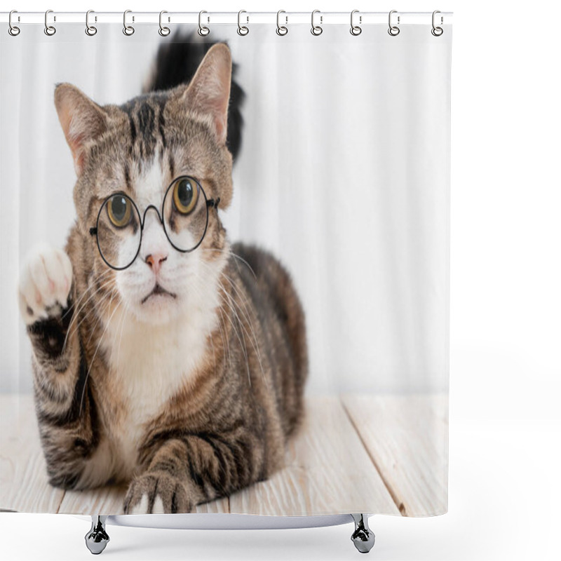 Personality  Cute Grey Cat With Glasses On Wood Background Shower Curtains