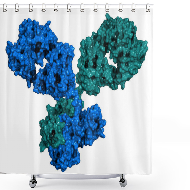 Personality  IgG1 Monoclonal Antibody (immunoglobulin). 3D Illustration. Many Biotech Drugs Are Antibodies. Molecular Surface Model Shower Curtains