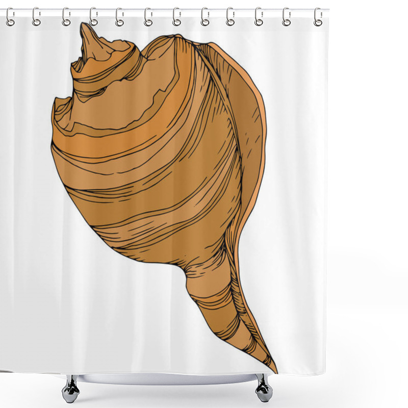 Personality  Summer Beach Seashell Tropical Elements. Black And White Engraved Ink Art. Isolated Shells Illustration Element. Shower Curtains