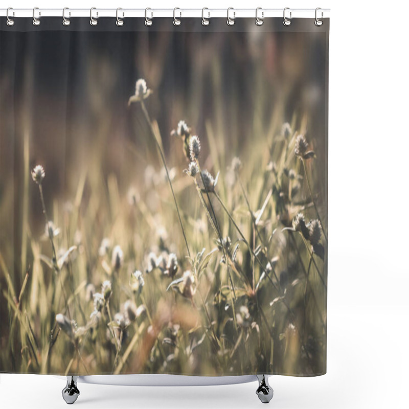 Personality  Wild Flower In Field Shower Curtains