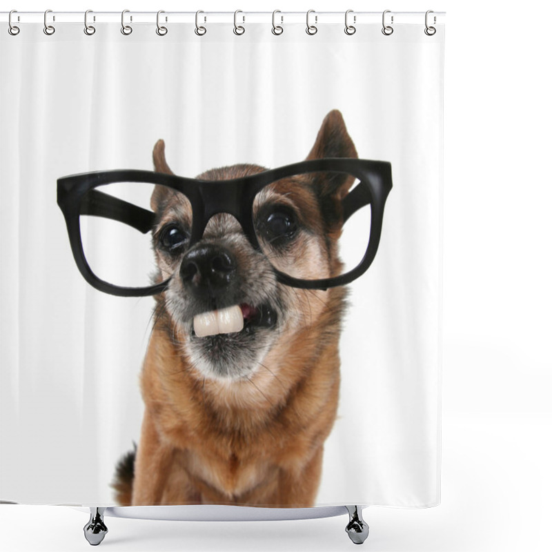 Personality  Chihuahua With Glasses On Shower Curtains