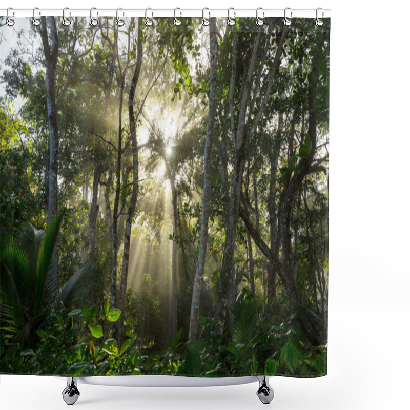 Personality  Misty Rainforest In  Costa Rica,  Central America Shower Curtains