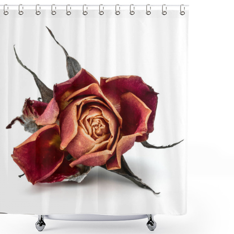 Personality  Dried Rose Flower Head  Shower Curtains