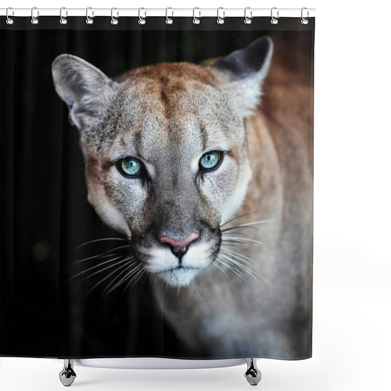 Personality  Puma, Wild Cat Eyes Shower Curtains