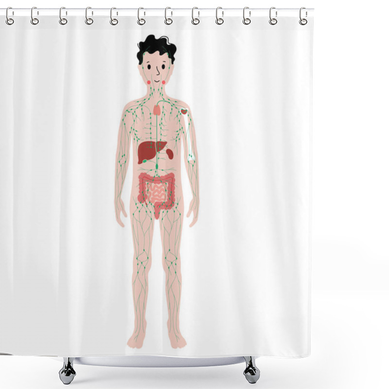 Personality  Lymphatic System In Human Body Shower Curtains