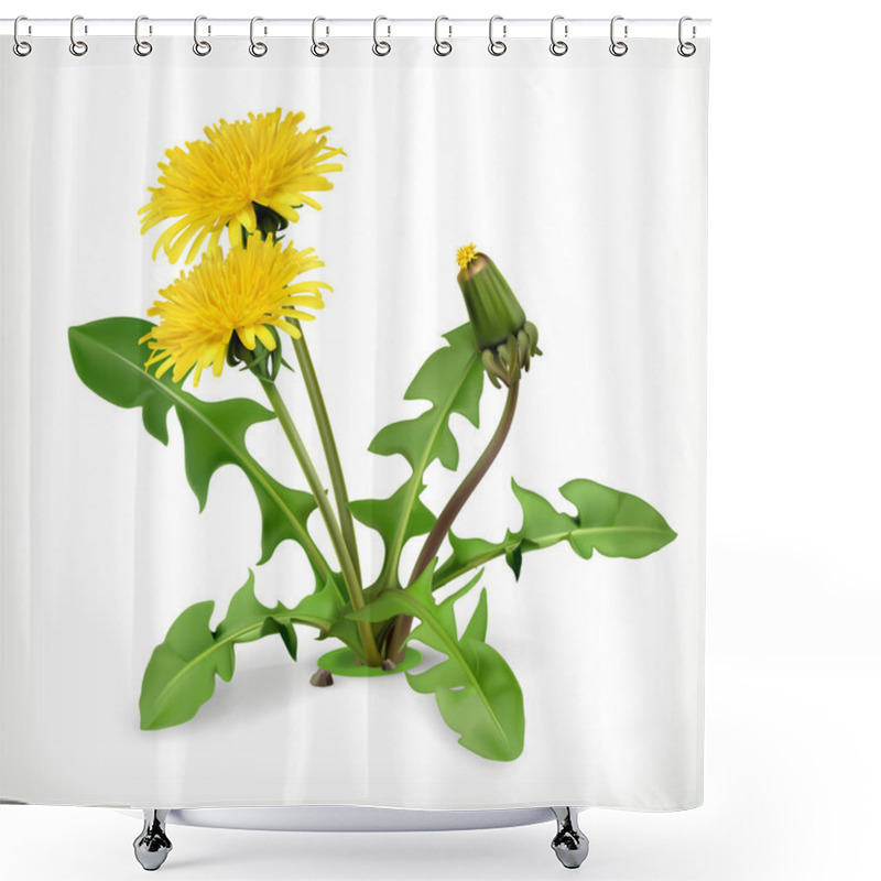 Personality  Dandelion Flowers On White Shower Curtains