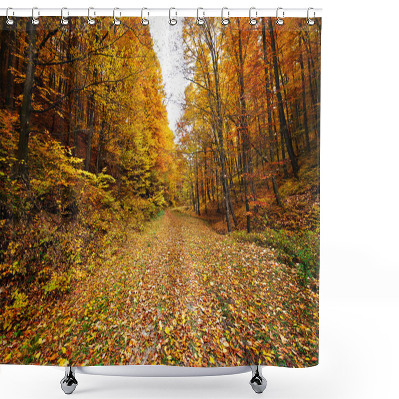 Personality  Road Through Forest Shower Curtains