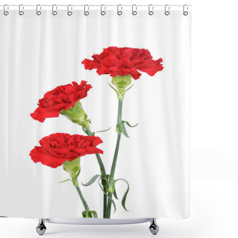 Personality  Three Carnation Flowers Shower Curtains