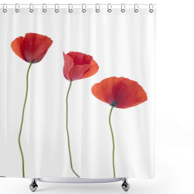 Personality  Three Poppies Shower Curtains