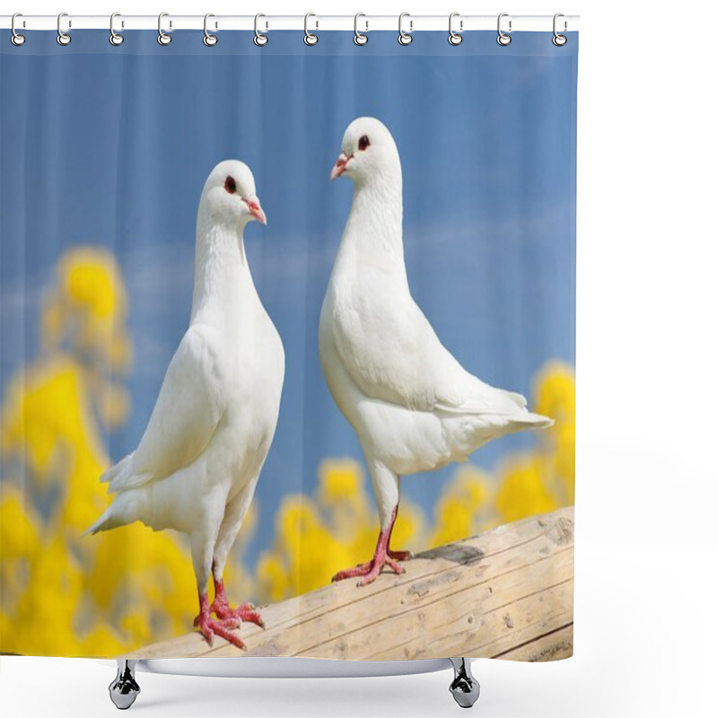 Personality  Two White Pigeons On Perch With Yellow Flowering Background Shower Curtains