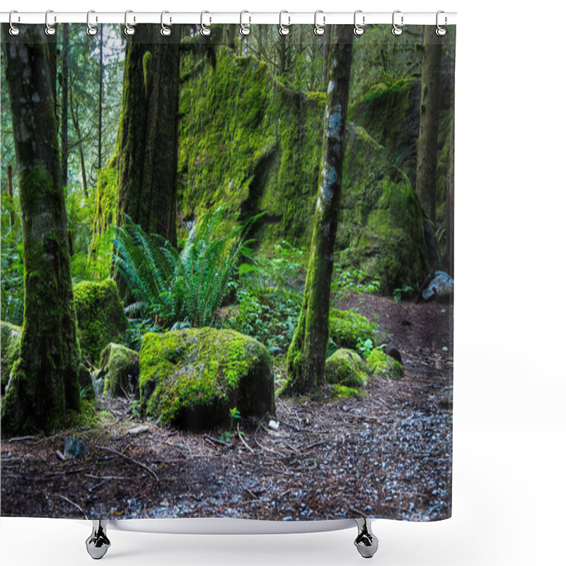 Personality  Moss Covered Rocks In Old Growth Forest Shower Curtains