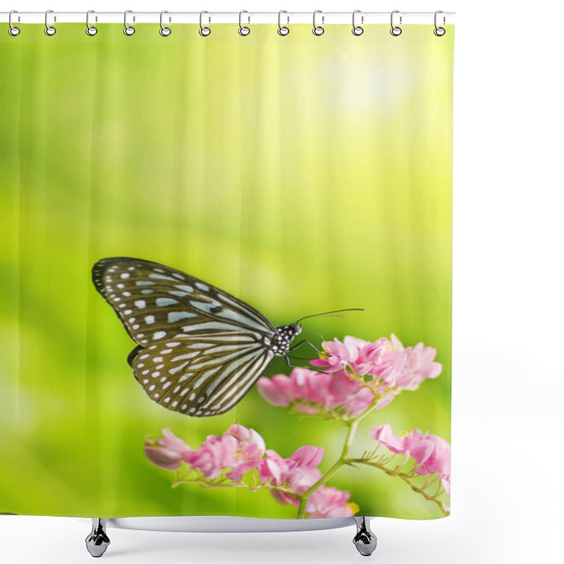 Personality  Butterfly Shower Curtains