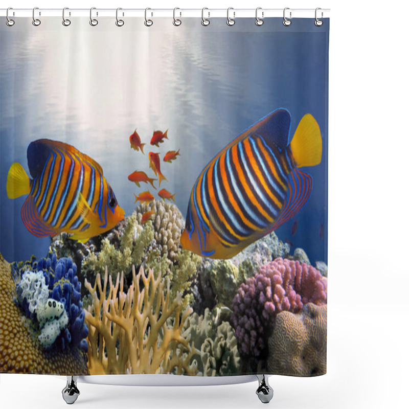 Personality  Underwater Coral Reef Background Shower Curtains