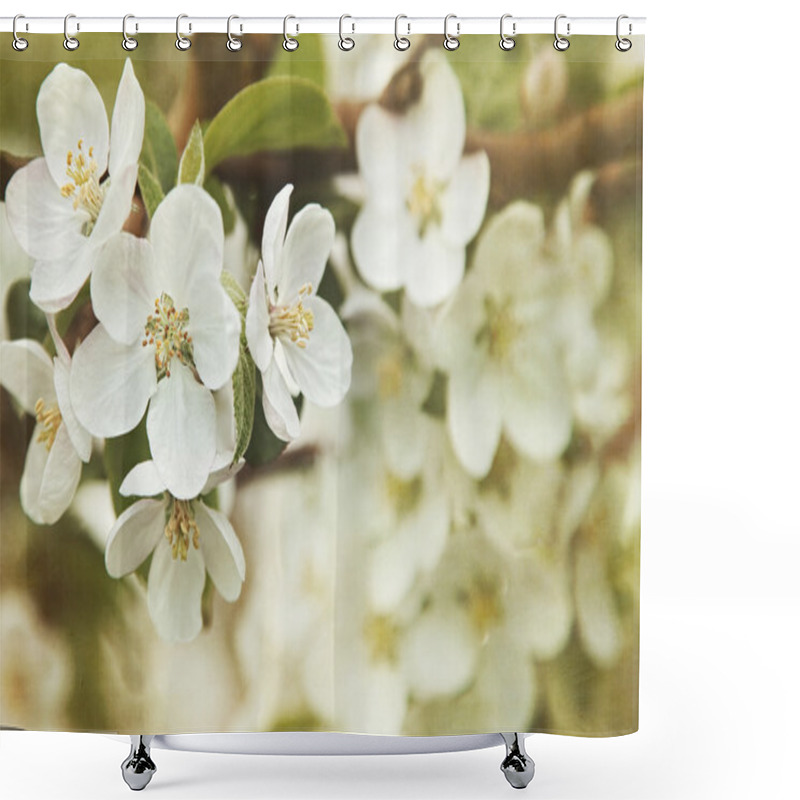 Personality  Apple Blossoms In Spring Shower Curtains