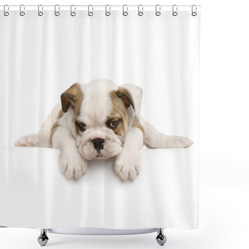 Personality  English Bulldog Puppy Shower Curtains