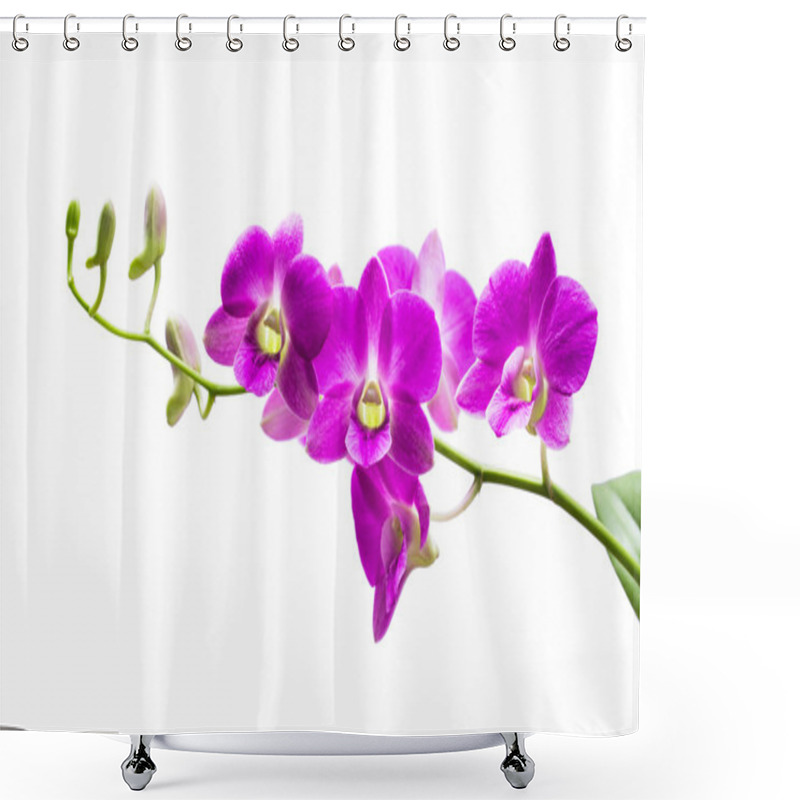 Personality  Bright Purple Orchid Shower Curtains