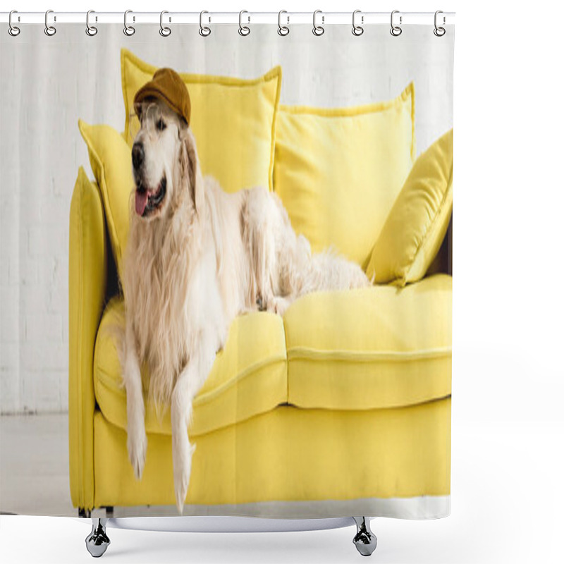 Personality  Panoramic Shot Of Cute Golden Retriever Lying On Bright Yellow Sofa In Cap And Glasses Shower Curtains