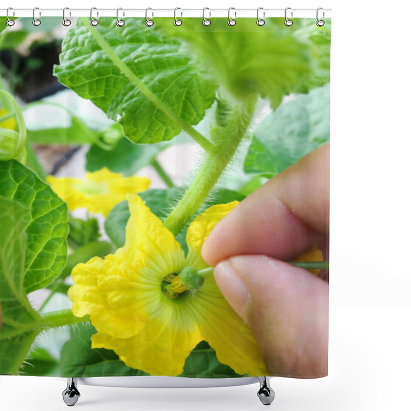 Personality  Melon Plants And Pollination With Hand Shower Curtains