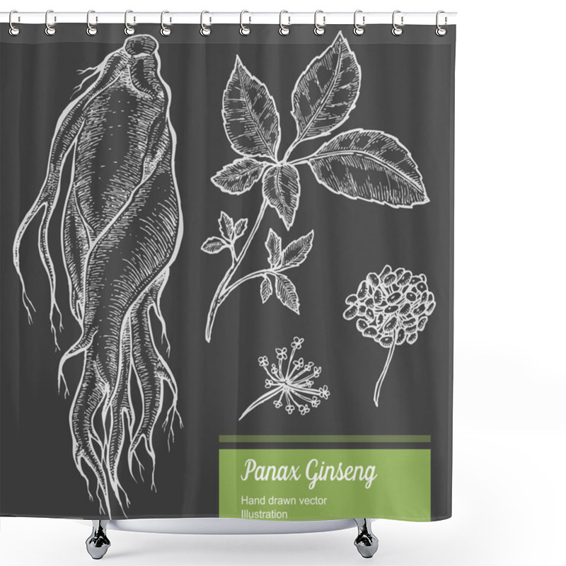 Personality  Ginseng Root, Leaf, Berry, Flower Isolated On Chalkboard Background. Organic Nature Chinese And Korean Herb. Hand Drawn Vector Illustration Shower Curtains