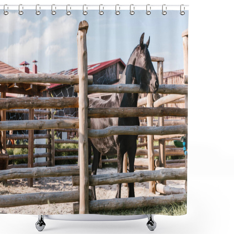 Personality  Close Up Image Of Horse Standing Near Wooden Fence In Corral At Zoo Shower Curtains