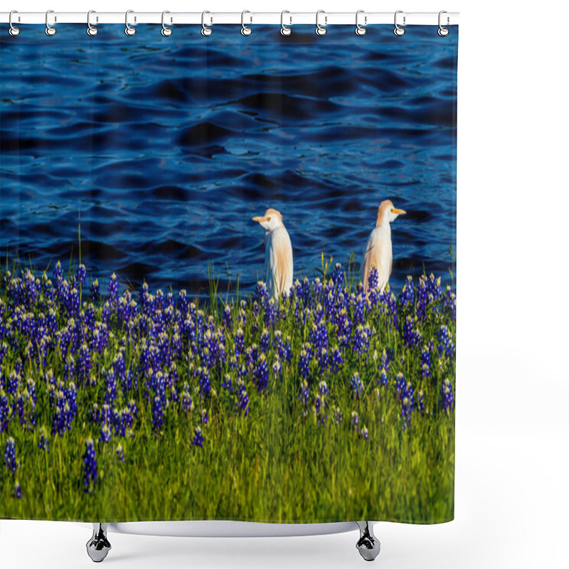 Personality  Egrets In Texas Bluebonnets At Lake Travis At Muleshoe Bend In T Shower Curtains