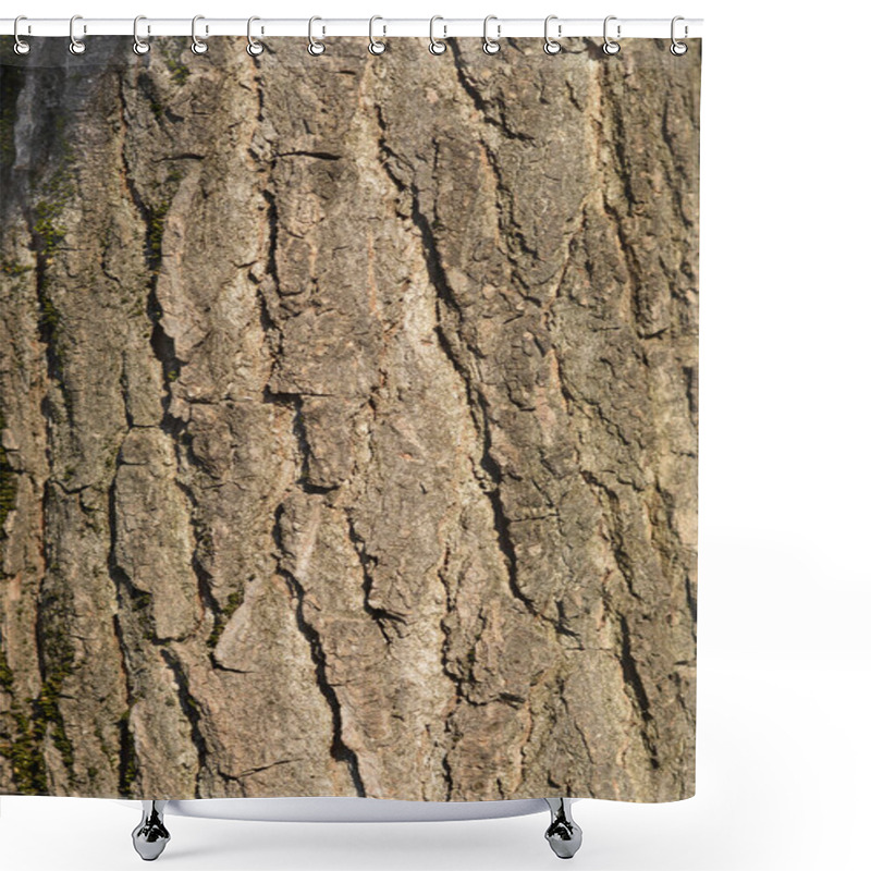 Personality  American Sweetgum Bark Detail - Latin Name - Liquidambar Styraciflua Shower Curtains