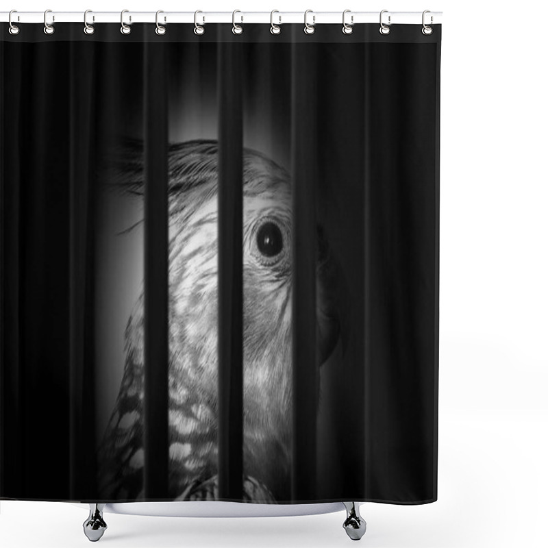 Personality  Photo Of A Bird In The Cage Suffering, Illegal Contraband Of Animals. Shower Curtains