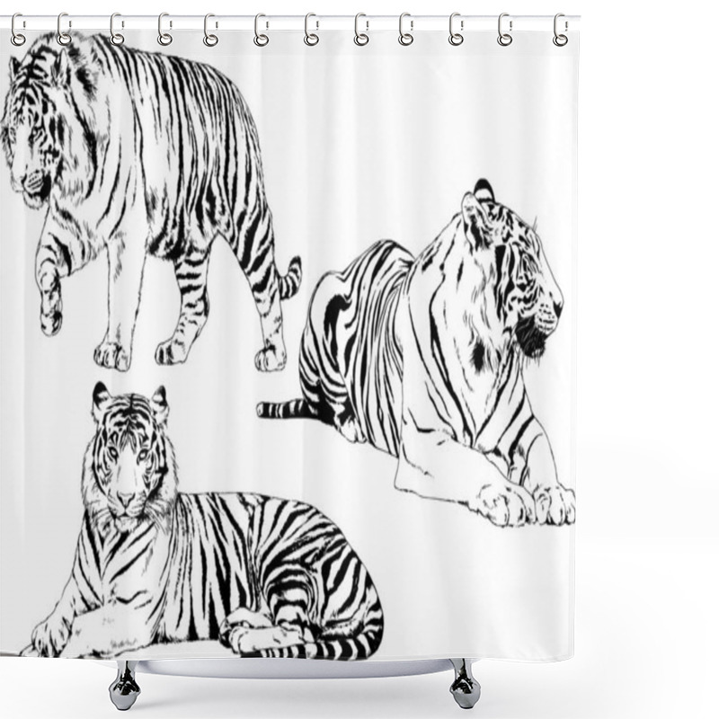 Personality  Set Of Vector Drawings On The Theme Of Predators Tigers Are Drawn By Hand With Ink Tattoo Logos Shower Curtains