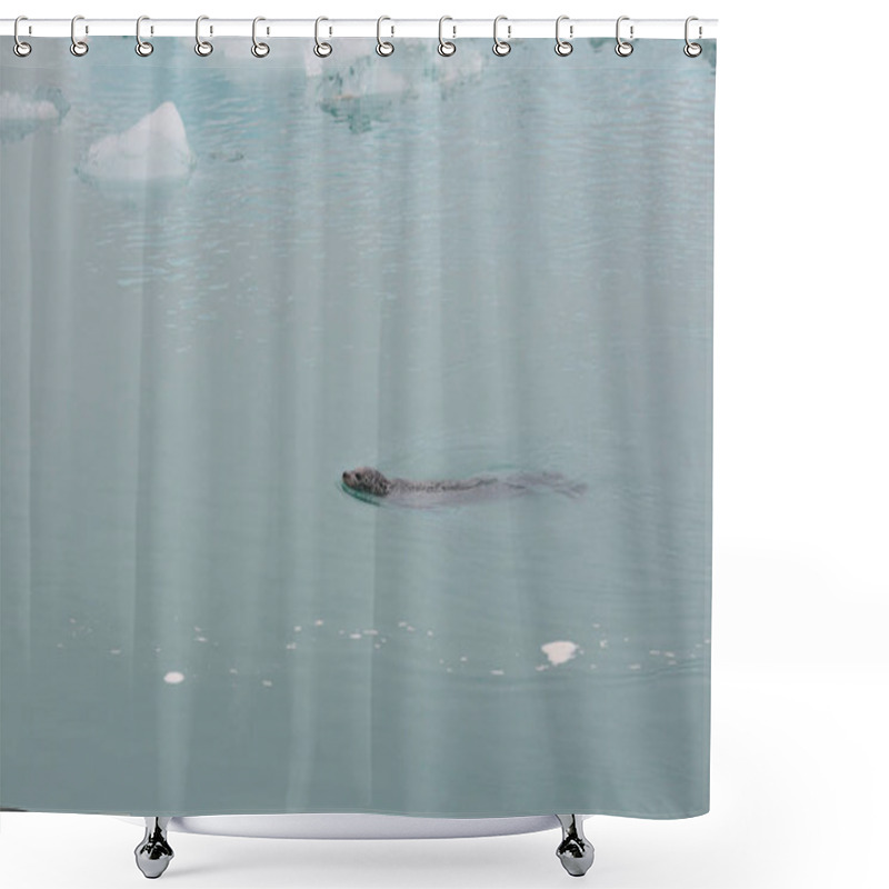 Personality  Sea Lion Shower Curtains