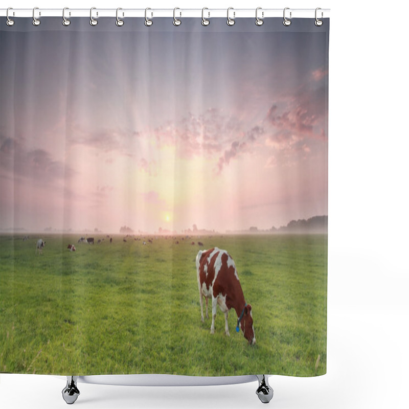 Personality  Cow Grazing Grass At Summer Sunrise Shower Curtains