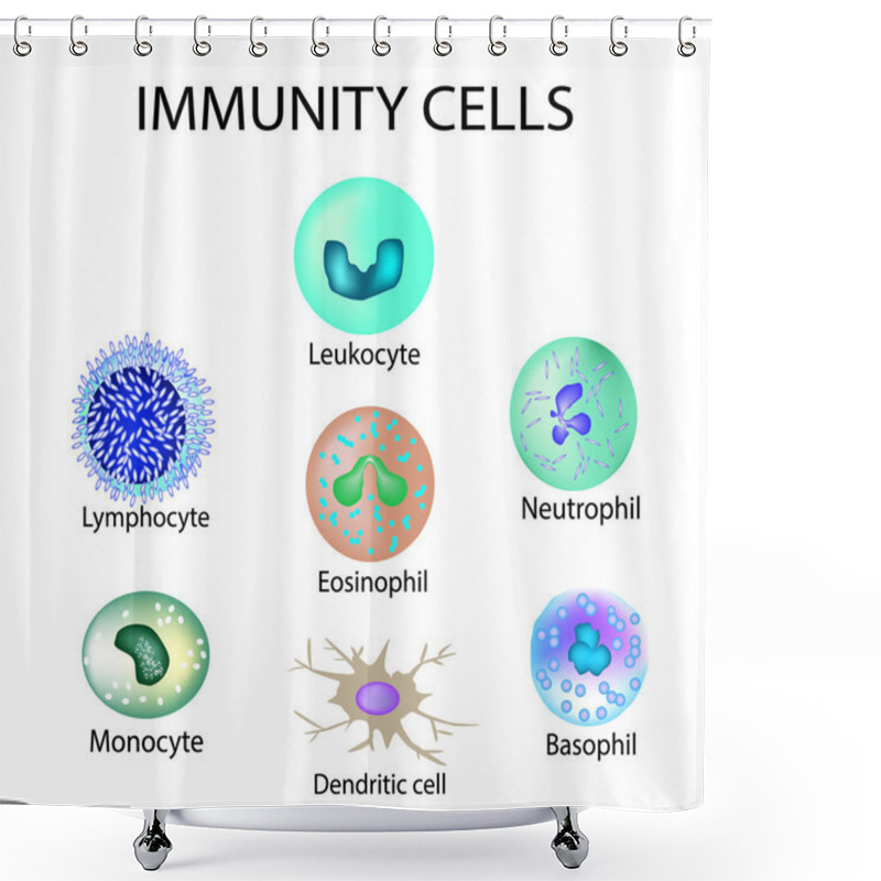 Personality  Cells Of Immunity. Set. Leukocyte, Lymphocyte, Eosinophil, Neutrophil, Monocyte, Basophil, Dendritic Cell. Vector Illustration On Isolated Background. Shower Curtains