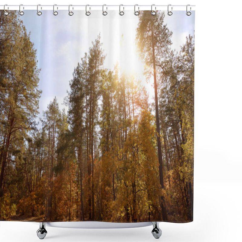 Personality  Sun, Trees With Yellow And Green Leaves In Autumnal Park At Day  Shower Curtains