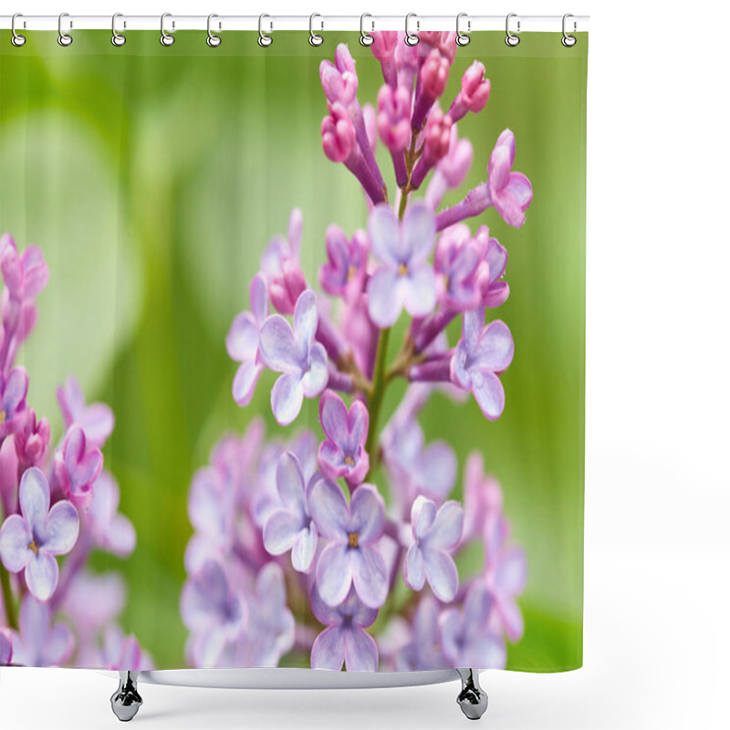 Personality  Nature Background. Lilac Flowers Shower Curtains