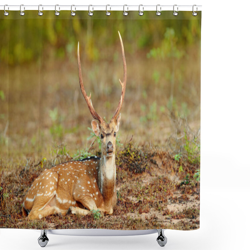 Personality  Ceylon Spotted Deer Shower Curtains