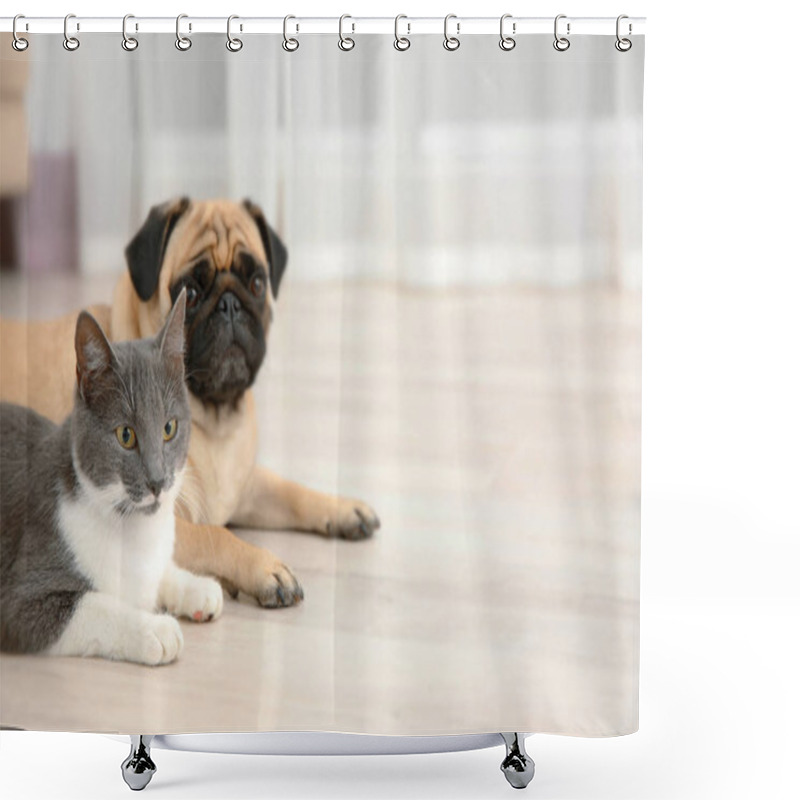 Personality  Pug And Cute Cat Shower Curtains