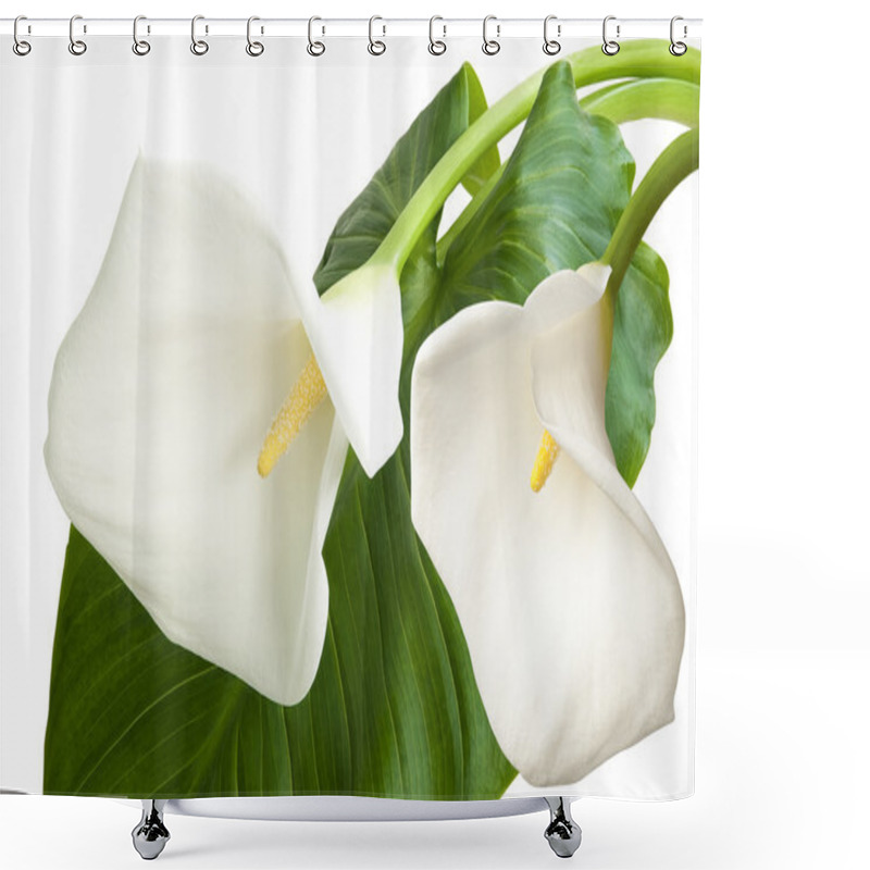 Personality  Pair Of White Flowers Shower Curtains