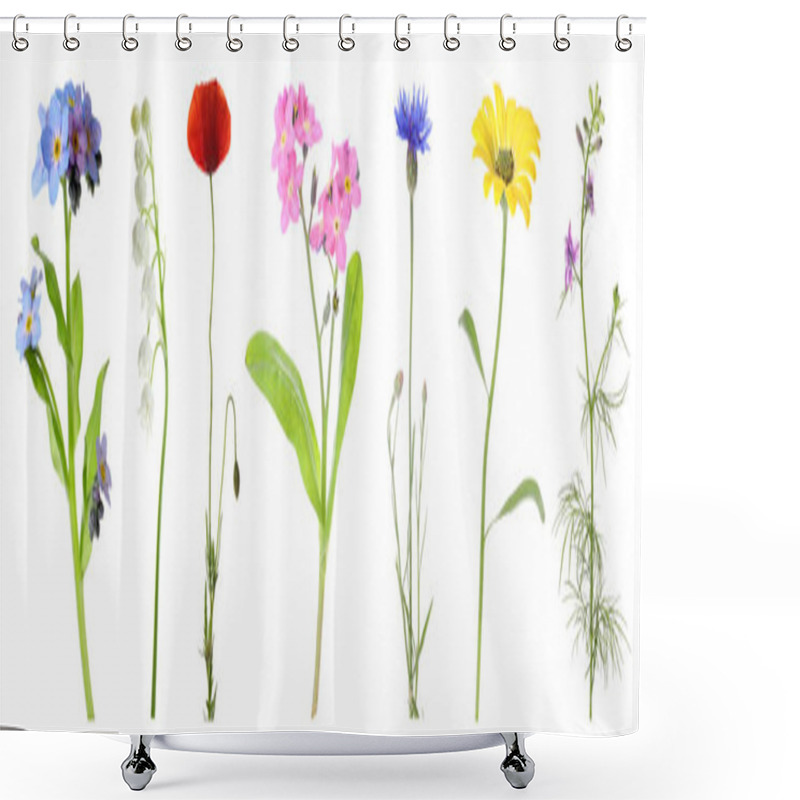 Personality  Collection Of Different Beautiful Wild Flowers On White Background. Banner Design Shower Curtains