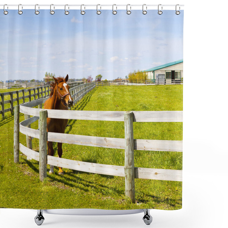 Personality  Gorse On A Farm Shower Curtains