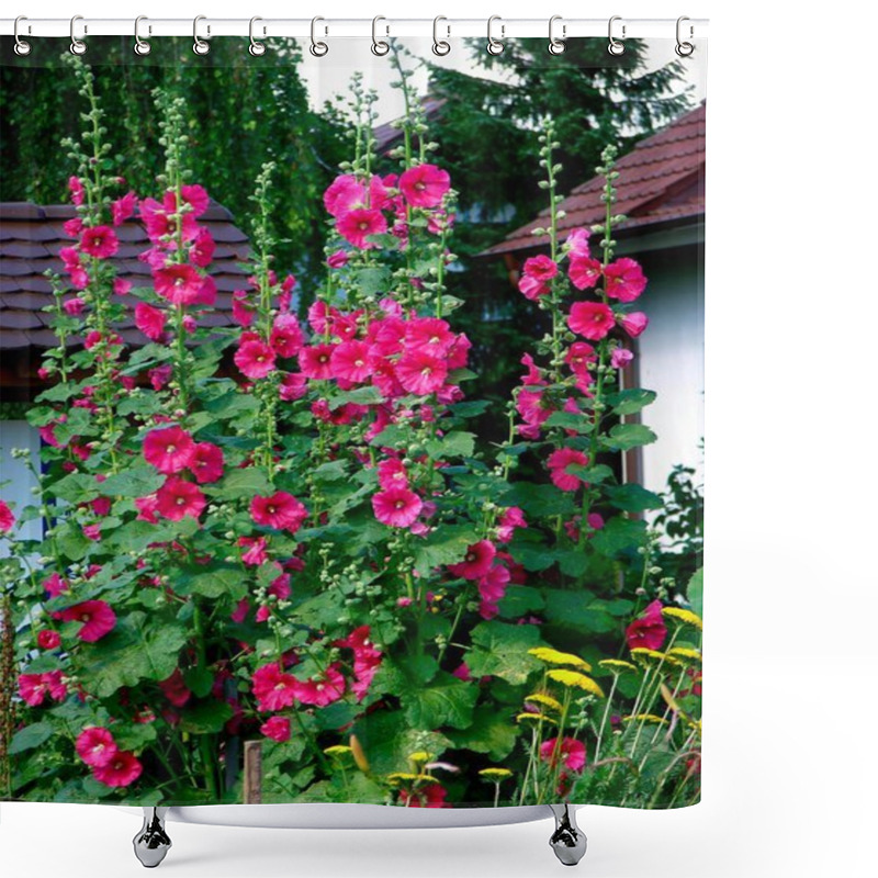 Personality  Hollyhock, Common Hollyhock (Alcea Rosea) Flowers Shower Curtains