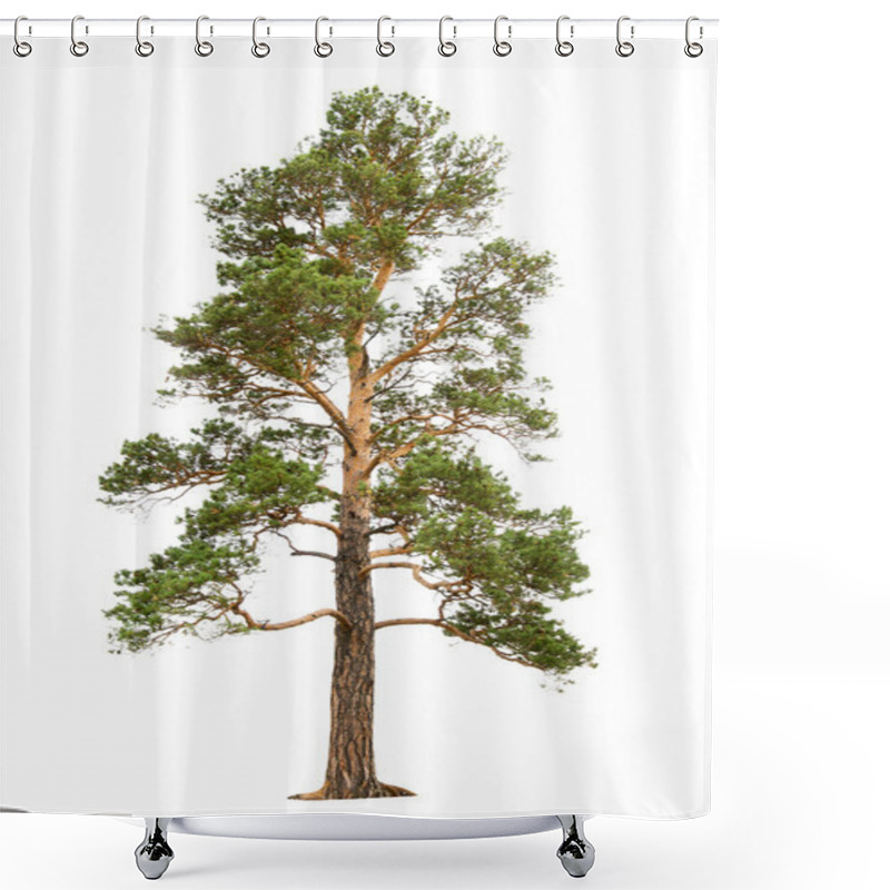 Personality  Pine Tree Shower Curtains