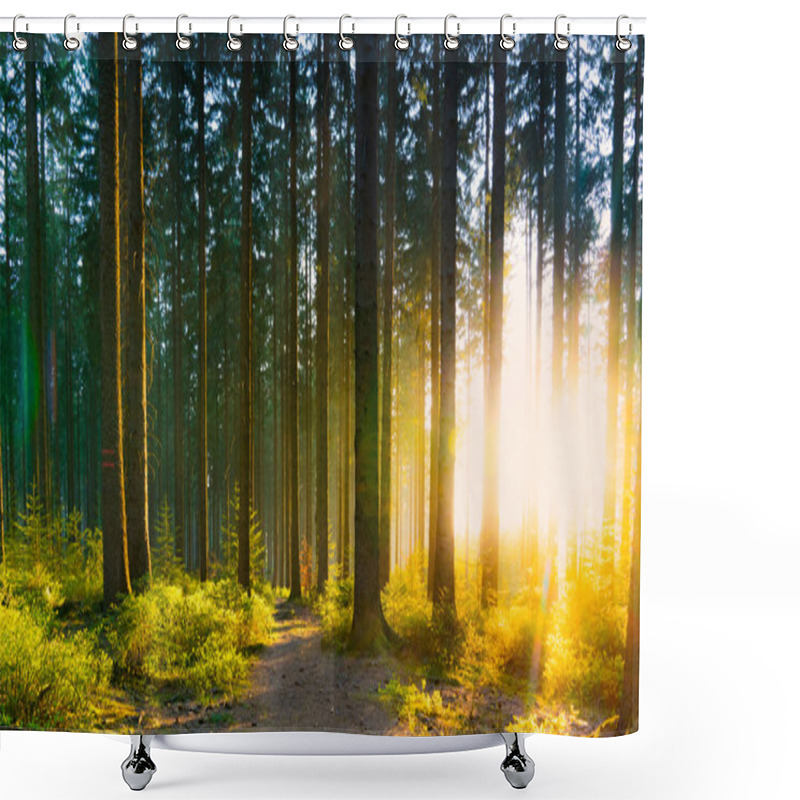 Personality  Silent Forest In Spring With Beautiful Bright Sun Rays Shower Curtains