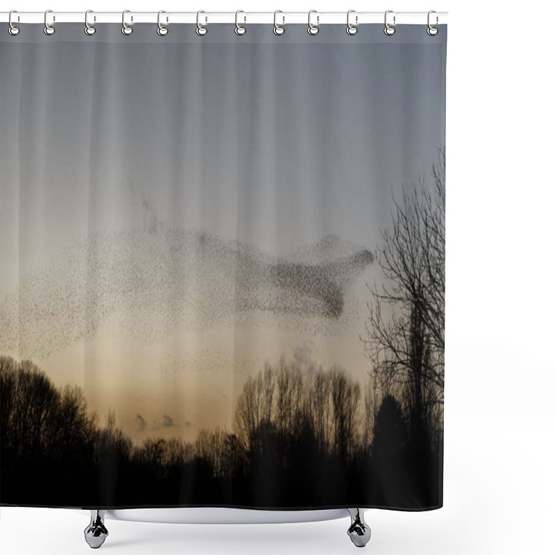 Personality  Murmurations Of Starlings During Sunset, Beautiful Nature Background Shower Curtains