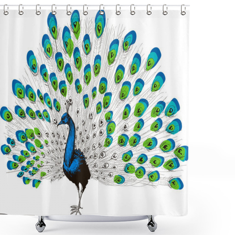 Personality  Peacock Hand Drawing Shower Curtains