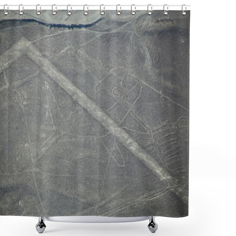 Personality  Aerial View Of Nazca Lines -  Whale Geoglyph, Peru. Shower Curtains