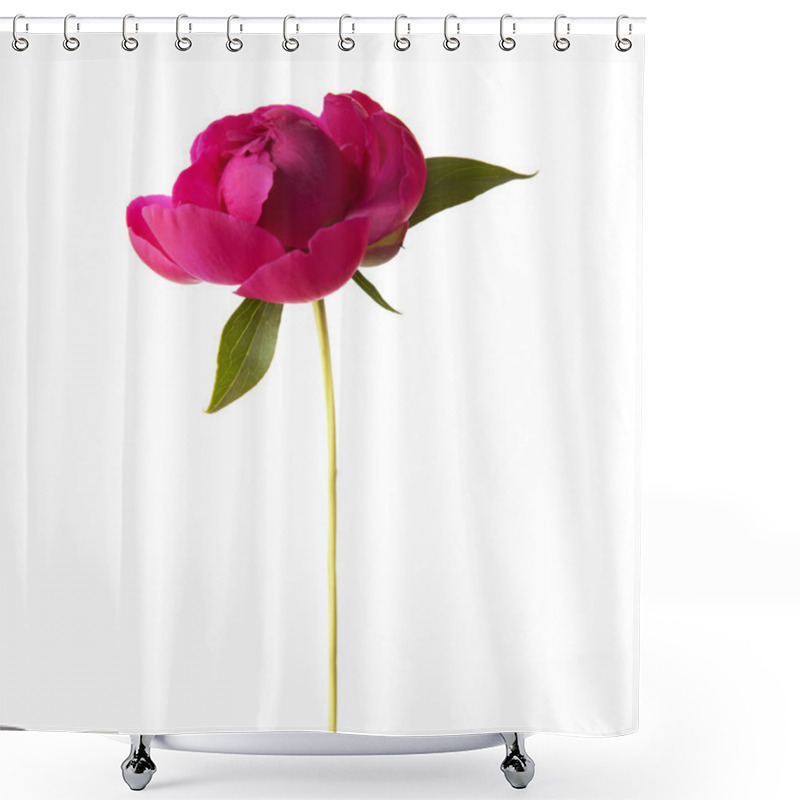 Personality  Peony Flower On White Shower Curtains