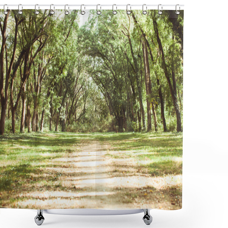 Personality  Fairytale Forest Landscape Shower Curtains