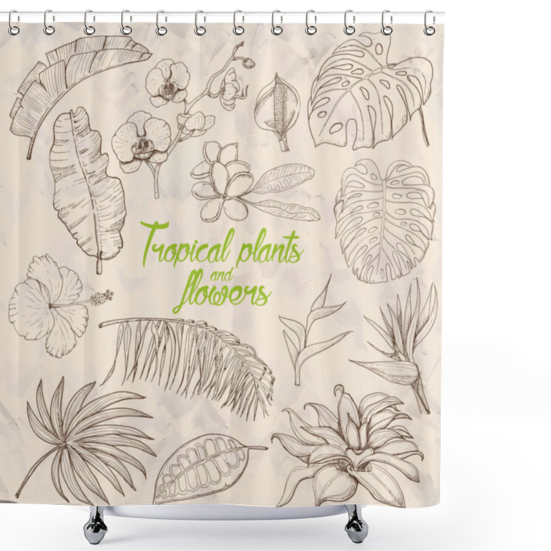 Personality  Set Of Isolated Tropical Plants And Flowers Shower Curtains