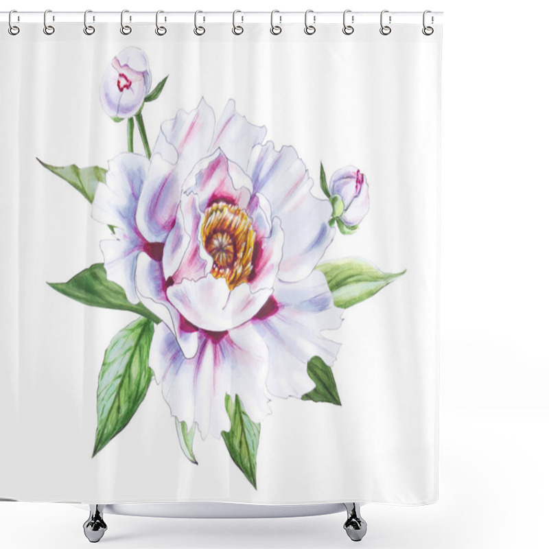 Personality  White Peony Flower Illustration On White Background Shower Curtains