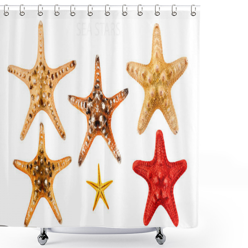 Personality  Sea Stars. Shower Curtains