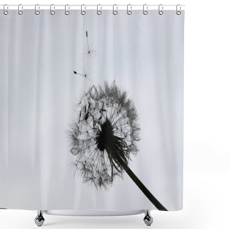 Personality  Dandelion Silhouette With Seeds Blowing In The Wind Shower Curtains